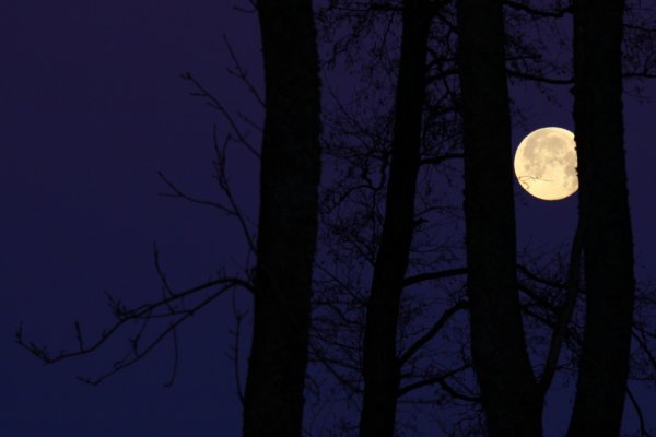 gffffffffffdbhgfd 048.JPG