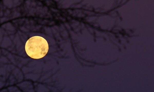 gffffffffffdbhgfd 052.JPG