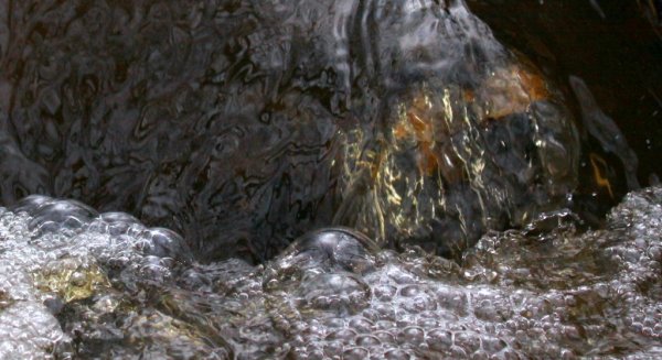 gffffffffffdbhgfd 026-1.JPG