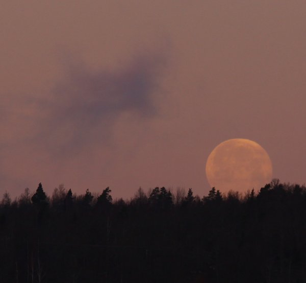 gffffffffffdbhgfd 071.JPG