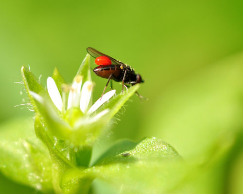 DSC_3112 - Kopia.JPG