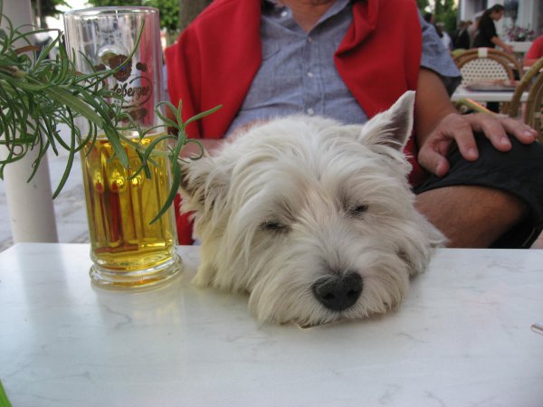 Husbilssäsong 2011 semester Tyskland 013.jpg