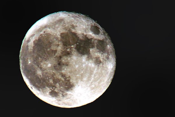 UDO_2315-luna.jpg