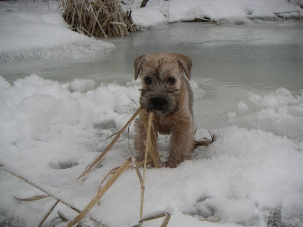 Hurley feb 2001.jpg Hurley feb 2001.jpg