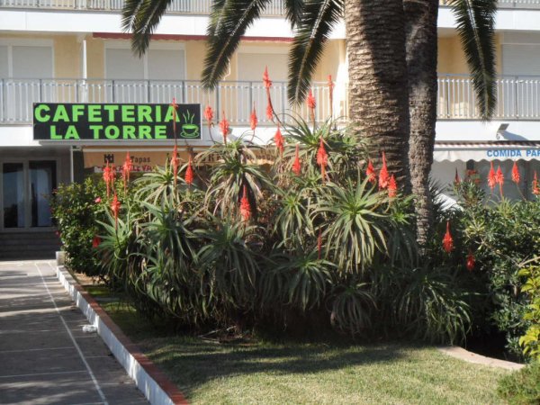 julen 2011 peniscola 116.JPG julen 2011 peniscola 116.JPG