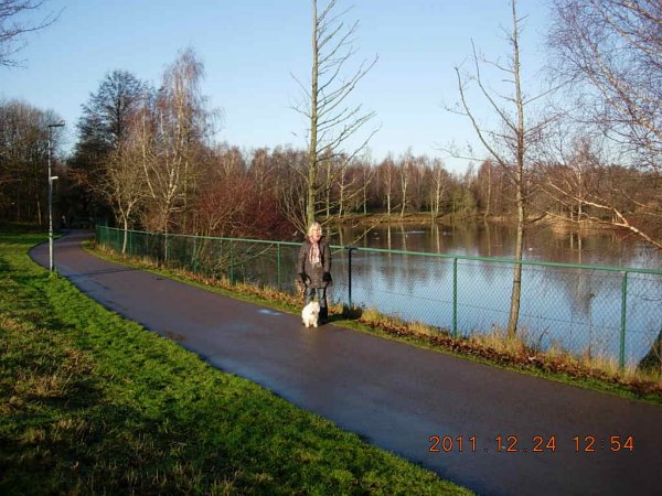 JULEN 2011 011.JPG JULEN 2011 011.JPG