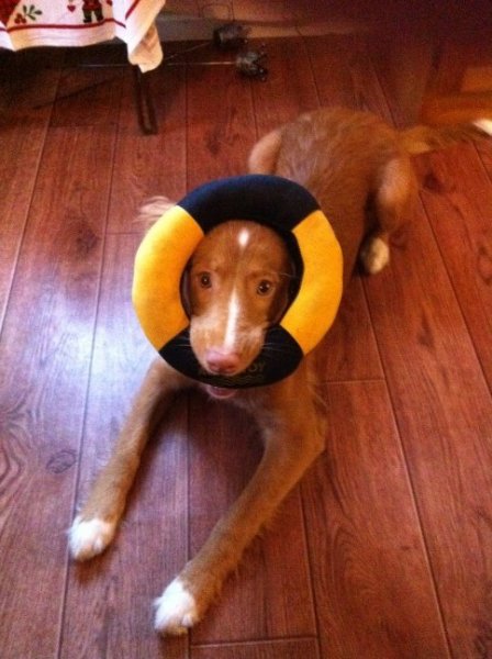 bild[2] (648 x 484).jpg