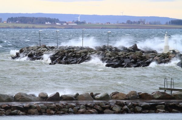 aaaaaaaaaaaa 061-3.JPG