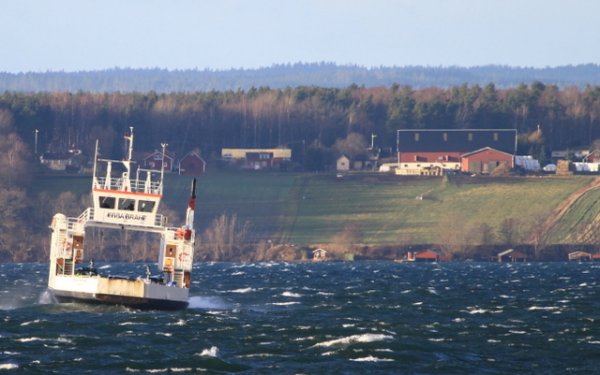 aaaaaaaaaaaa 175-1.JPG