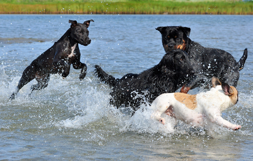 DSC_1410 - Kopia.JPG DSC_1410 - Kopia.JPG