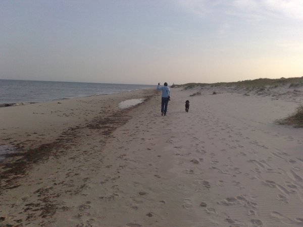 20100520001.jpg