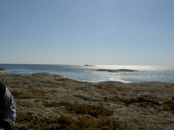 PICT5338.JPG