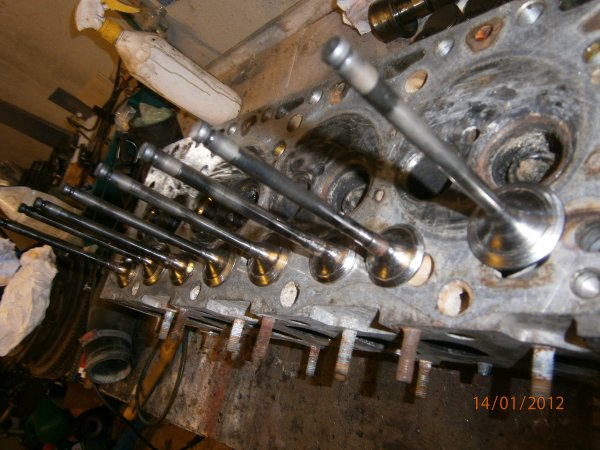 14  jan 2012 011   B.jpg