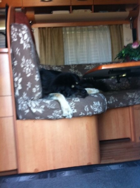 iza susar i husbilen sommaren 2011.jpg