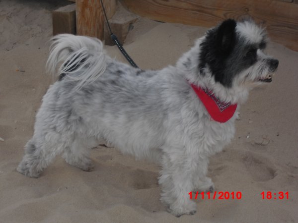 20101101 Spanien 025.JPG