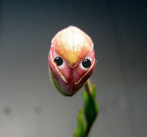 022 - Kopia.jpg 022 - Kopia.jpg