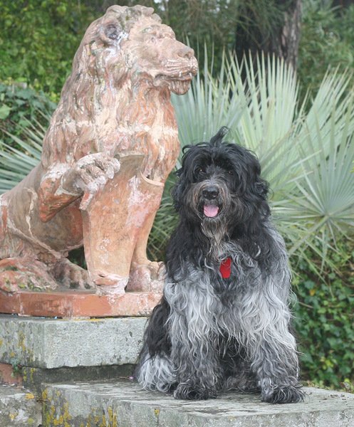 Bonnie.JPG Bonnie.JPG