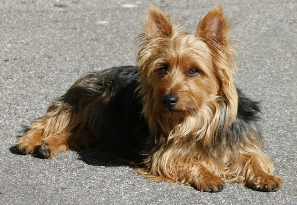 Sigge0956.jpg Sigge0956.jpg