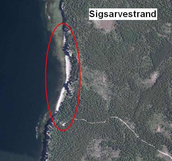 Sigsarvestrand.JPG