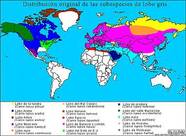 distribucion_original_subespecies_lobo.jpg
