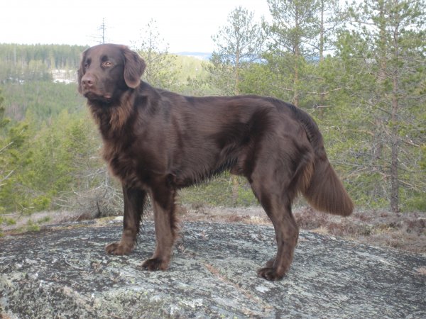 IMG_0085.jpg IMG_0085.jpg