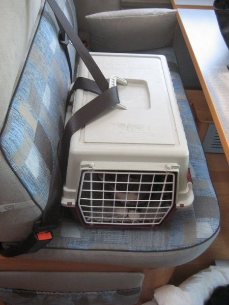 Pysen i bur.jpg Pysen i bur.jpg