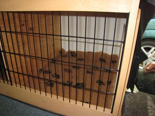 IMG_1151.JPG IMG_1151.JPG