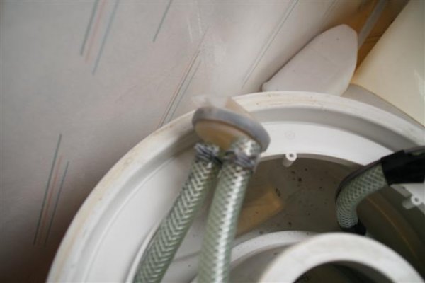 IMG_5517 (Small).JPG