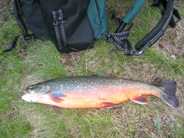 härjedalen 072.JPG härjedalen 072.JPG