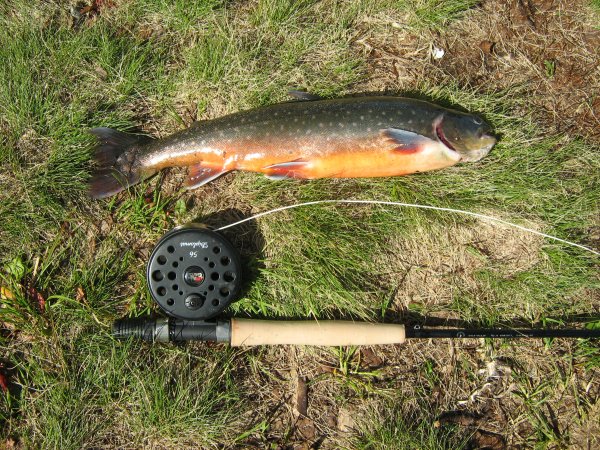 härjedalen 053.JPG härjedalen 053.JPG