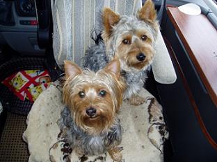 Charlie o systern.JPG