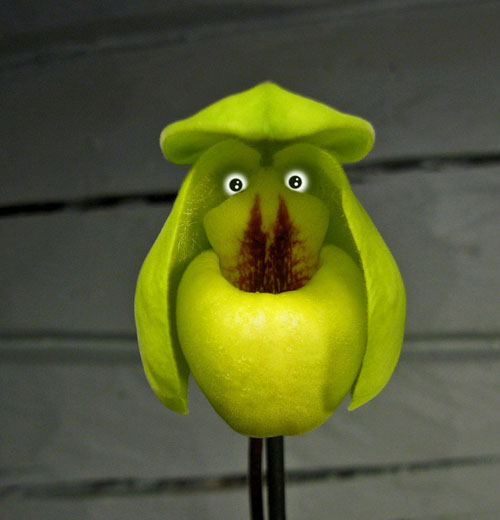 8 - Kopia.jpg 8 - Kopia.jpg