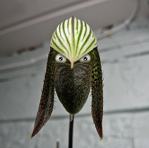 9 - Kopia.jpg 9 - Kopia.jpg