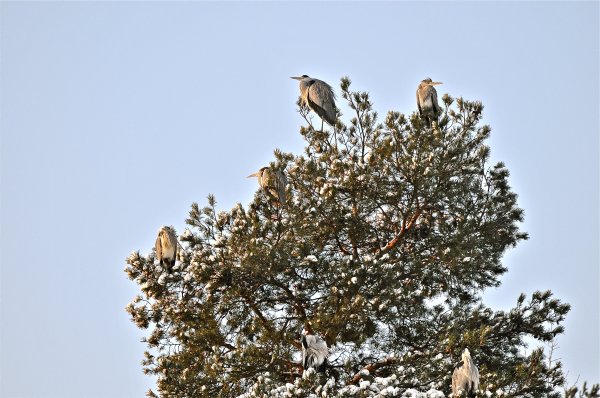 DSC_6300.JPG DSC_6300.JPG