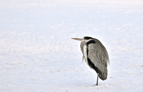 DSC_6303.JPG DSC_6303.JPG