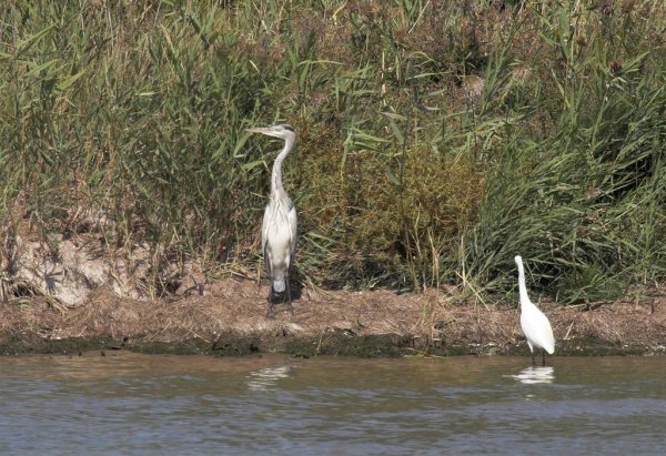 IMG_5709-01 (Large).jpg IMG_5709-01 (Large).jpg