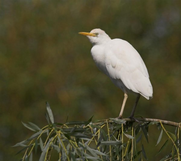 IMG_5664-01 (Large).jpg IMG_5664-01 (Large).jpg