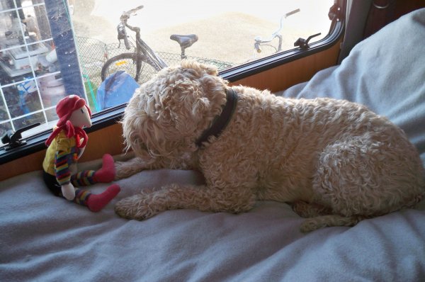 100_2479.JPG 100_2479.JPG