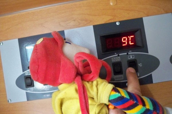 100_2481.JPG 100_2481.JPG