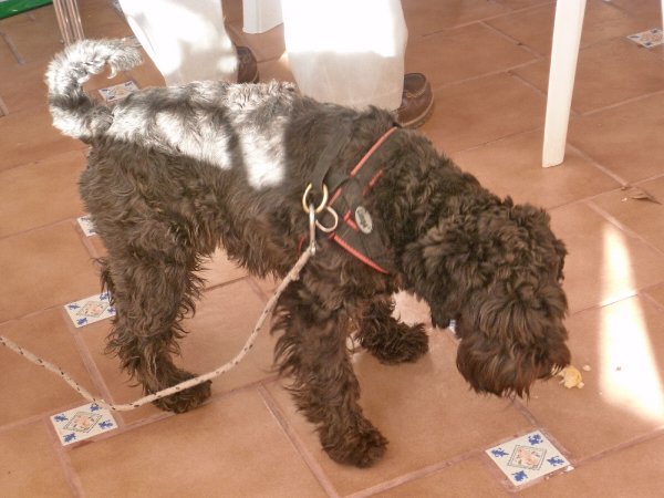 P1000933(1).JPG P1000933(1).JPG