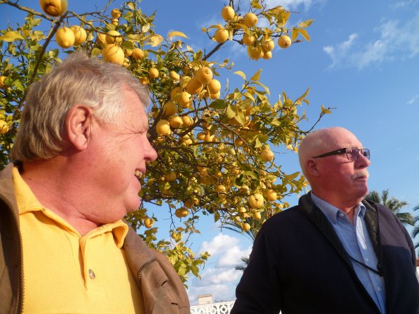 P1000939(1).JPG P1000939(1).JPG