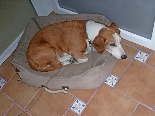 P1000968(1).JPG P1000968(1).JPG