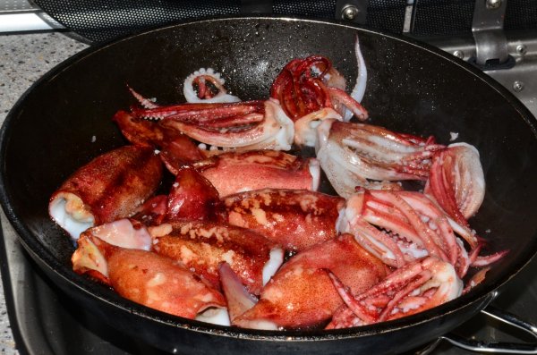 DSC_1405 (Large).JPG DSC_1405 (Large).JPG