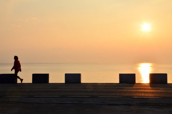 DSC_1408 (Large).JPG DSC_1408 (Large).JPG