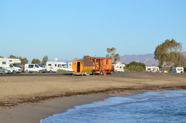 DSC_1429 (Large).JPG DSC_1429 (Large).JPG