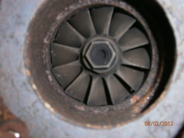 8  jan  2012 006.jpg