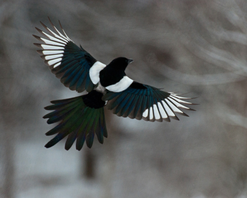 DSC_0030.jpg DSC_0030.jpg