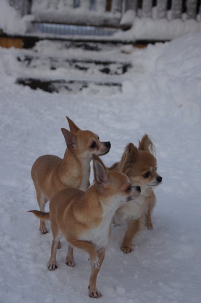 8januari2012 234.JPG