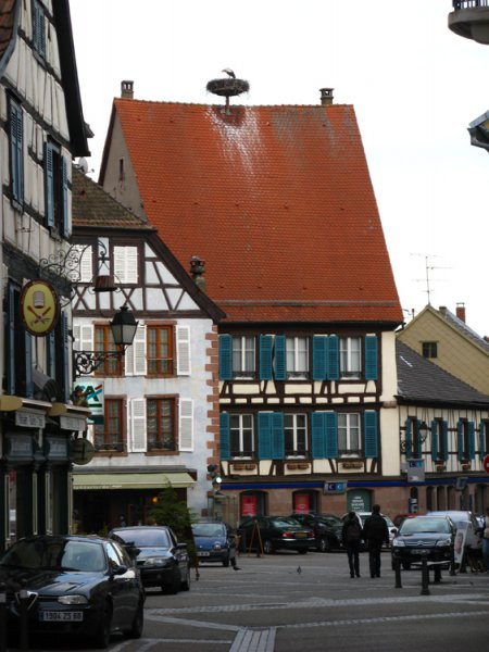 IMG_2524 kopiera.jpg