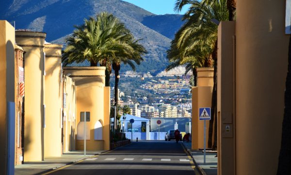 DSC_1564 (Large).JPG DSC_1564 (Large).JPG